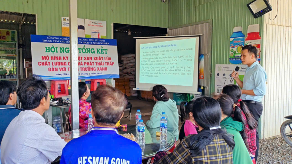 Qua tổng kết đánh giá, mô hình giàm chi phí, tăng lợi nhuận hơn 1,9 triệu đồng/ha so với ruộng đối chứng