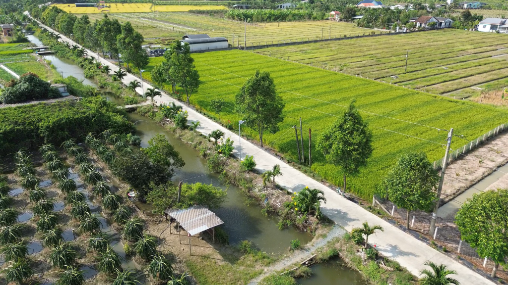 Tuyến đường Hợp tác xã Phú Hòa (ấp 3, xã Vĩnh Công) góp phần xây dựng diện mạo nông thôn khang trang, sạch đẹp