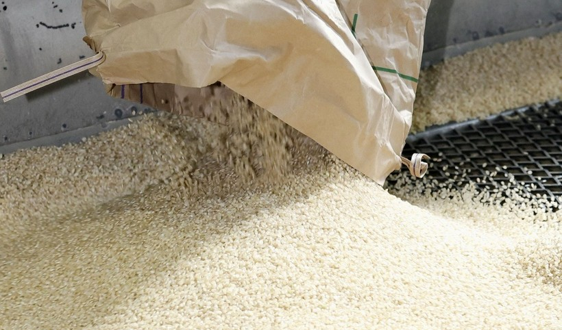 Thị trường gạo v&agrave; ngũ cốc chịu &aacute;p lực từ chi ph&iacute; vận tải tăng cao