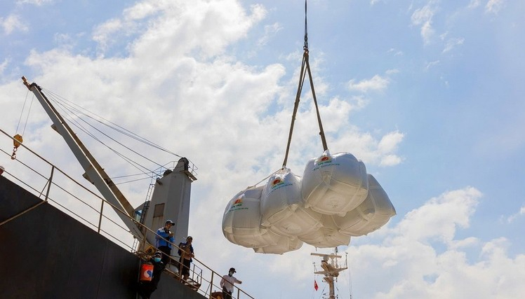 Xuất khẩu gạo của Việt Nam sang thị trường Senegal tăng gần 30 lần