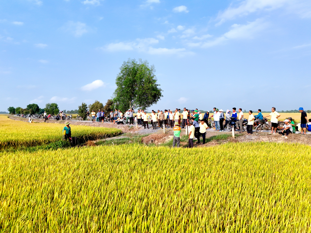 X&atilde; Thạnh Đức: Hội thảo đầu bờ, hướng dẫn kỹ thuật canh t&aacute;c vụ l&uacute;a H&egrave; Thu 