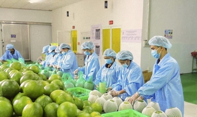 Đa dạng thị trường, giảm rủi ro xuất khẩu n&ocirc;ng sản