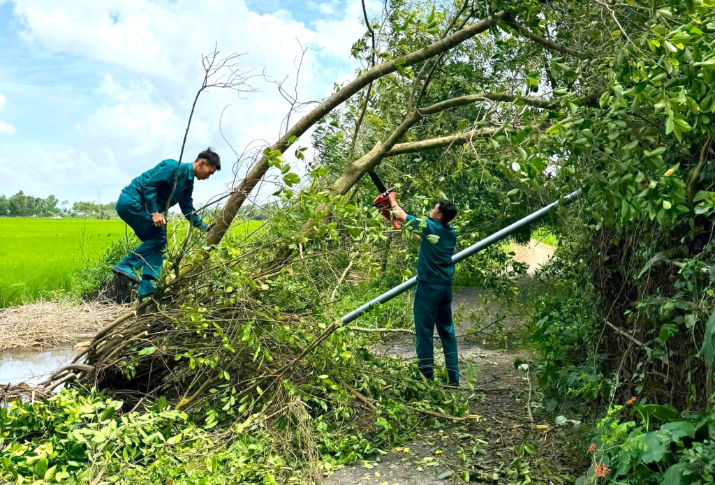 D&acirc;n qu&acirc;n tự vệ - 'L&aacute; chắn th&eacute;p' ở cơ sở