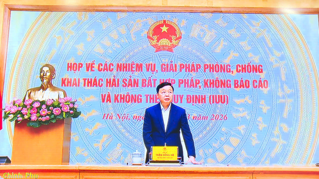 Ph&oacute; Thủ tướng Ch&iacute;nh phủ chỉ đạo xử l&yacute; nghi&ecirc;m vi phạm IUU, kh&ocirc;ng để t&aacute;i diễn t&igrave;nh trạng t&agrave;u c&aacute; 'đi lạc'