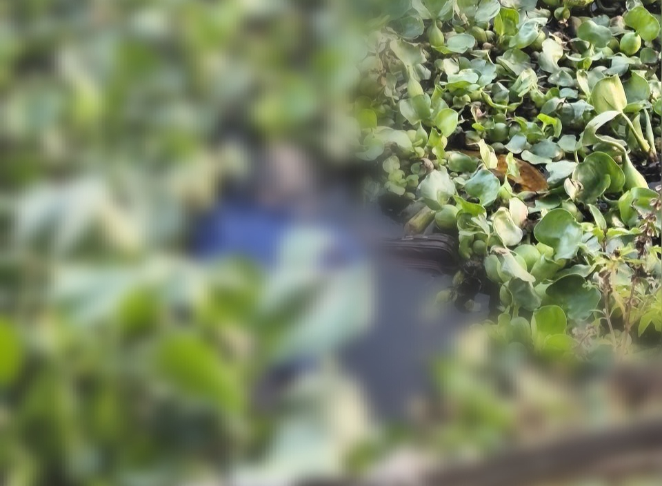 Thi thể người đàn ông được phát hiện tử vong nổi lập lờ trên sông 