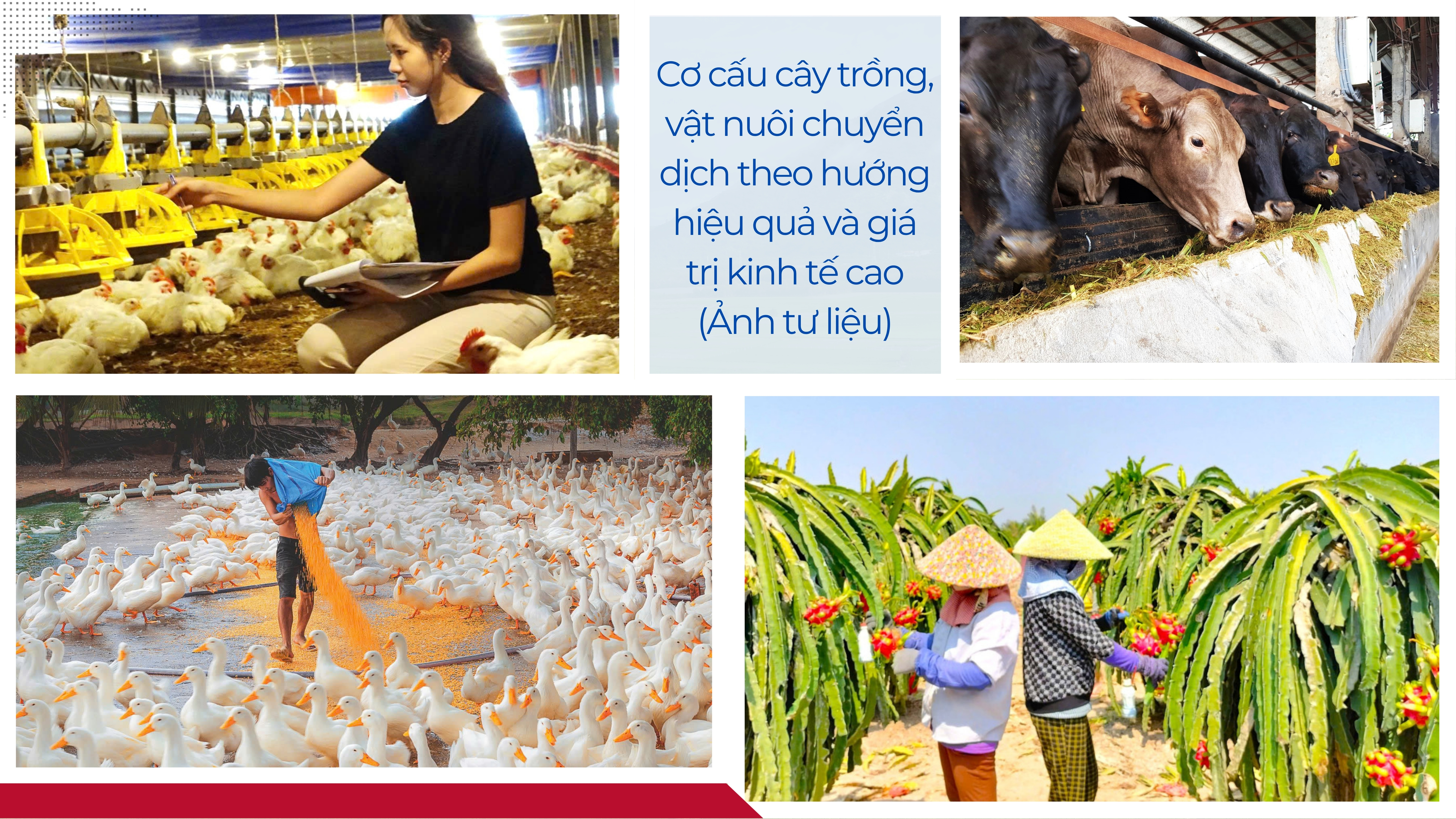 Ảnh với chú thích