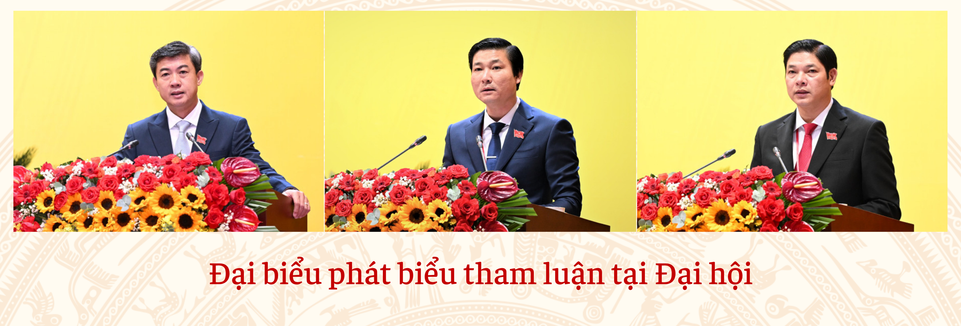 Ảnh tràn viền