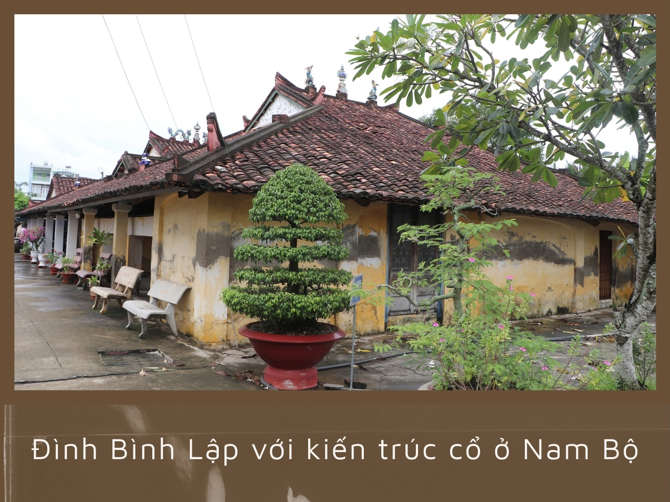 Ảnh với chú thích