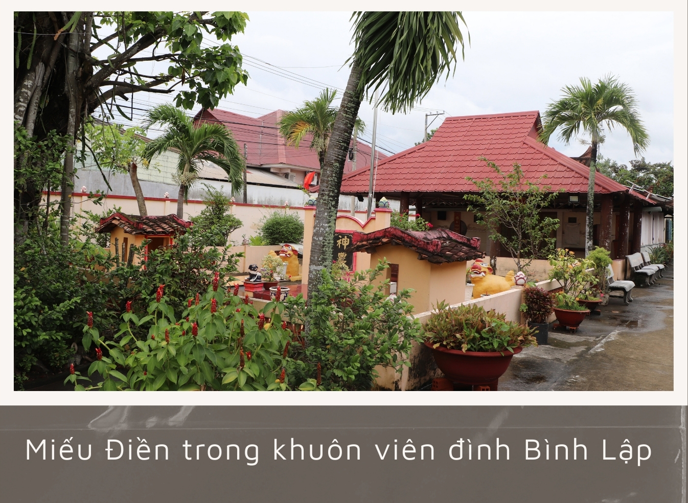 Ảnh với chú thích