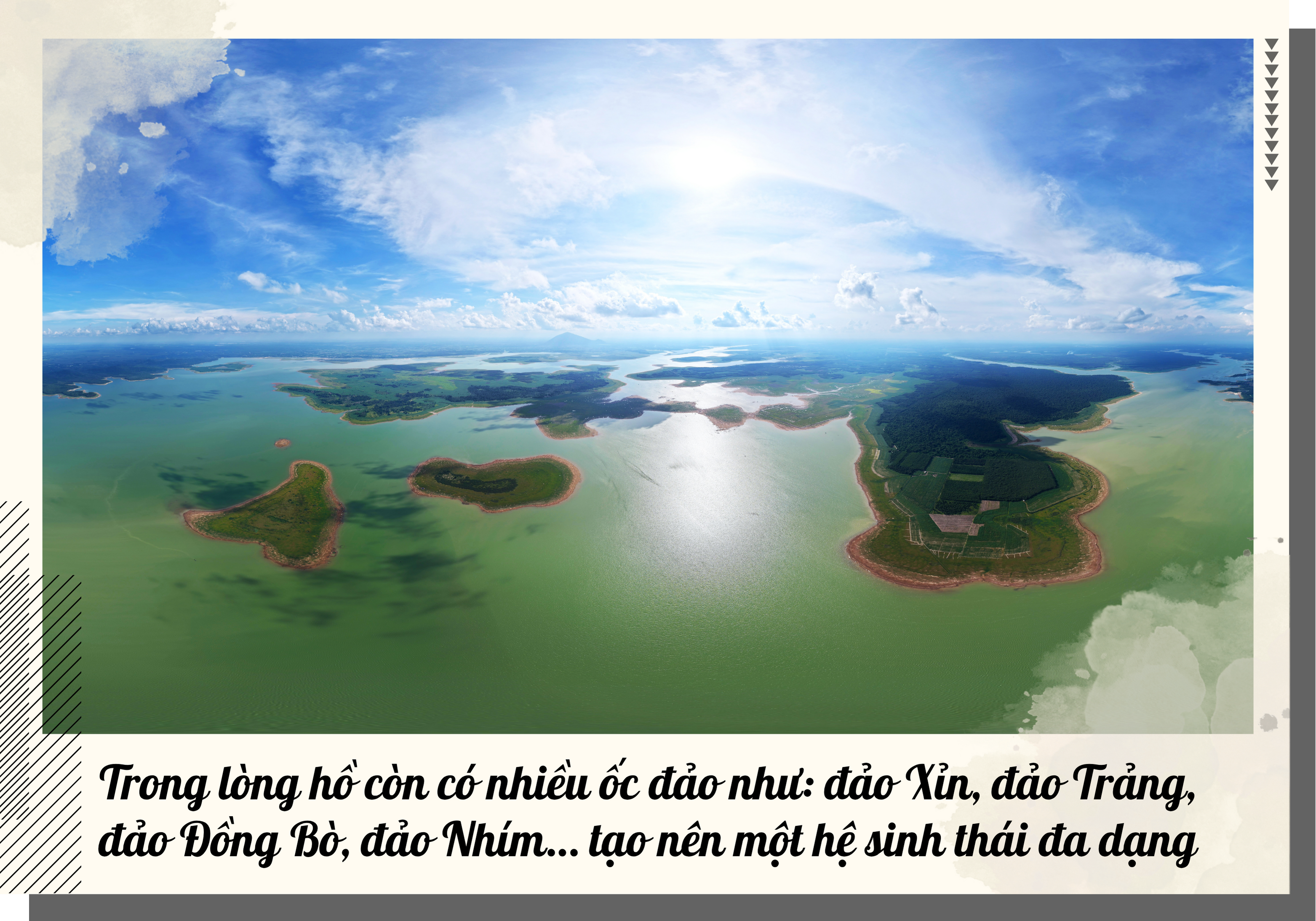 Ảnh với chú thích