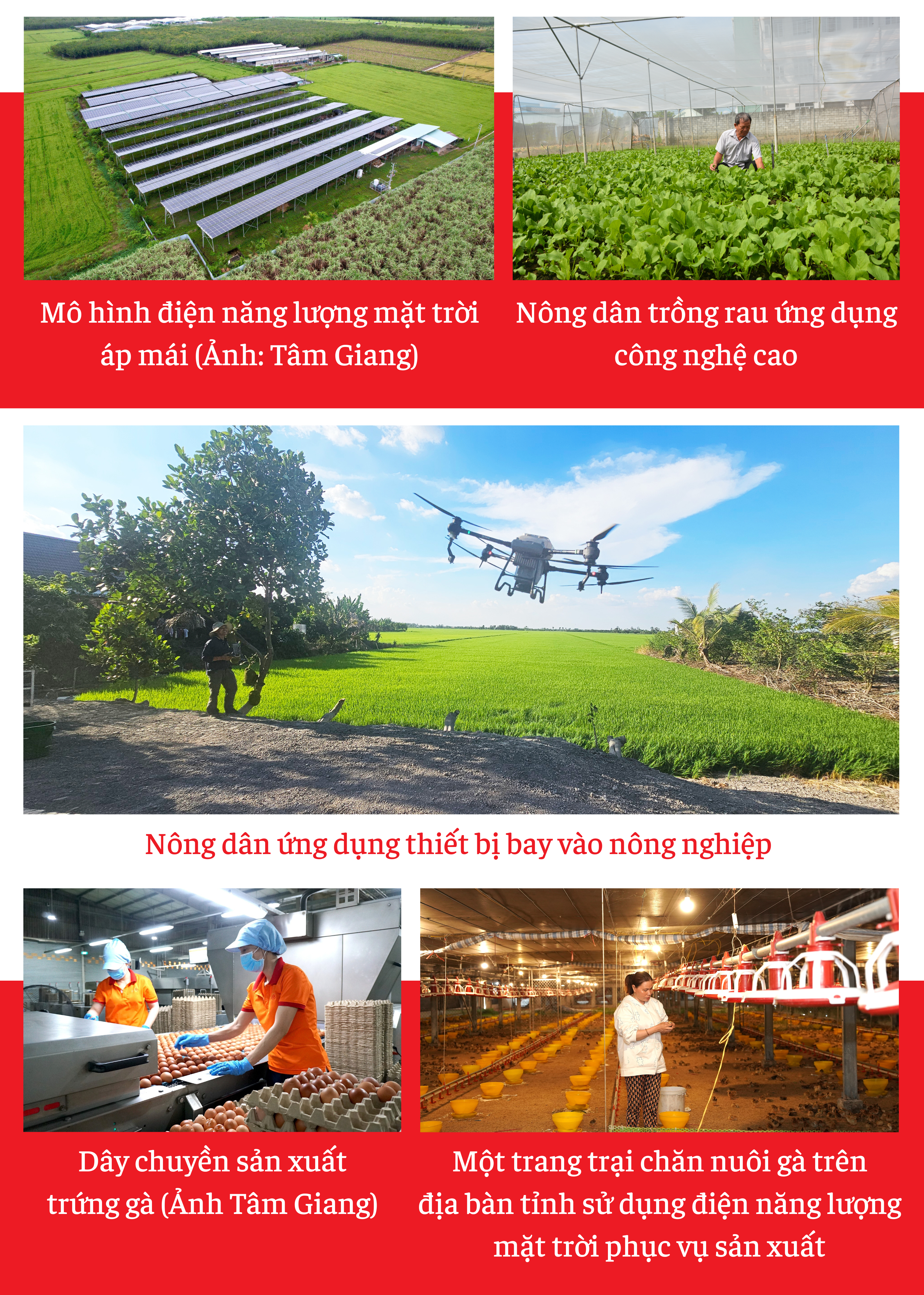 Ảnh với chú thích