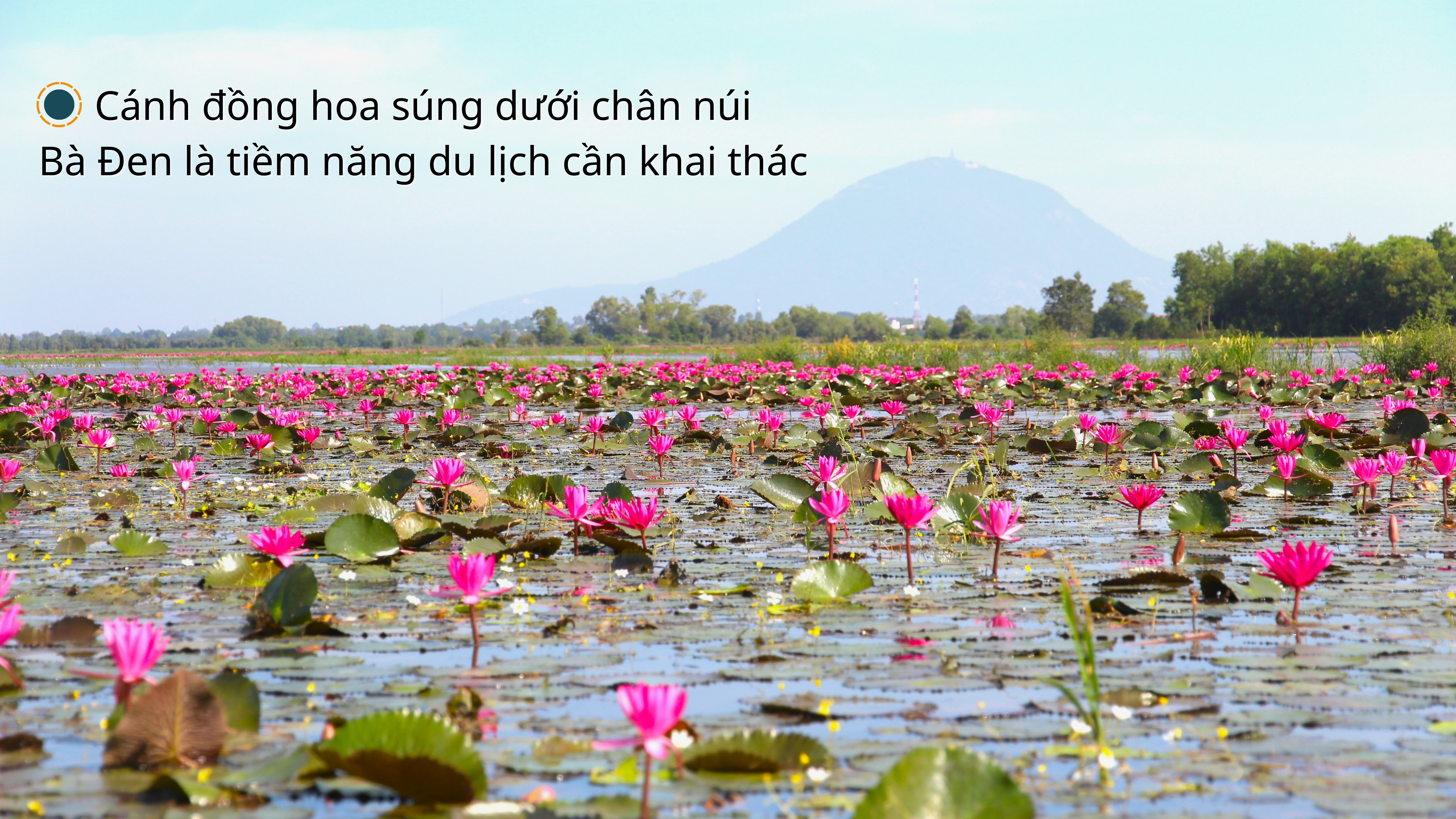 Ảnh với chú thích