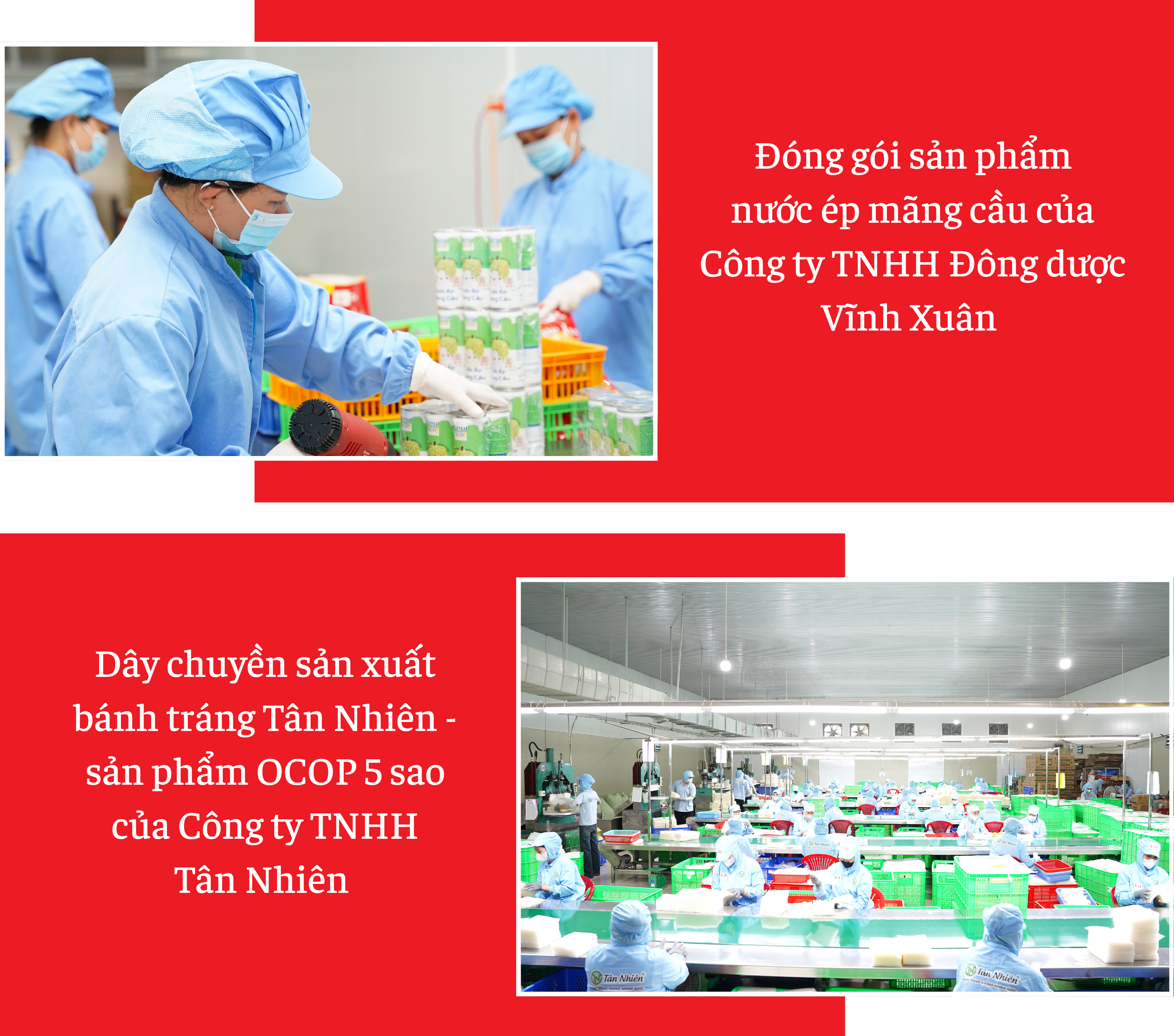 Ảnh với chú thích