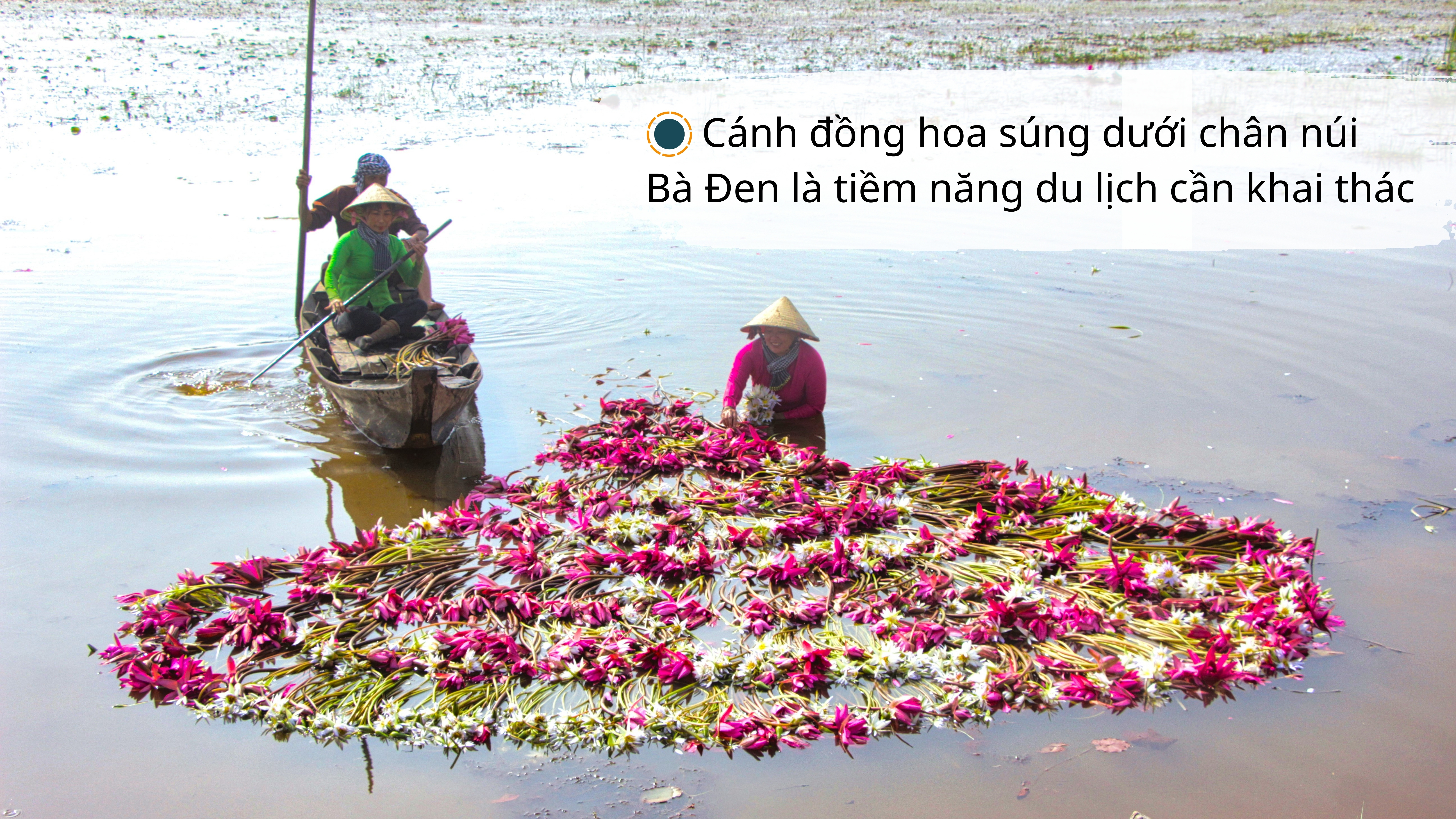 Ảnh với chú thích