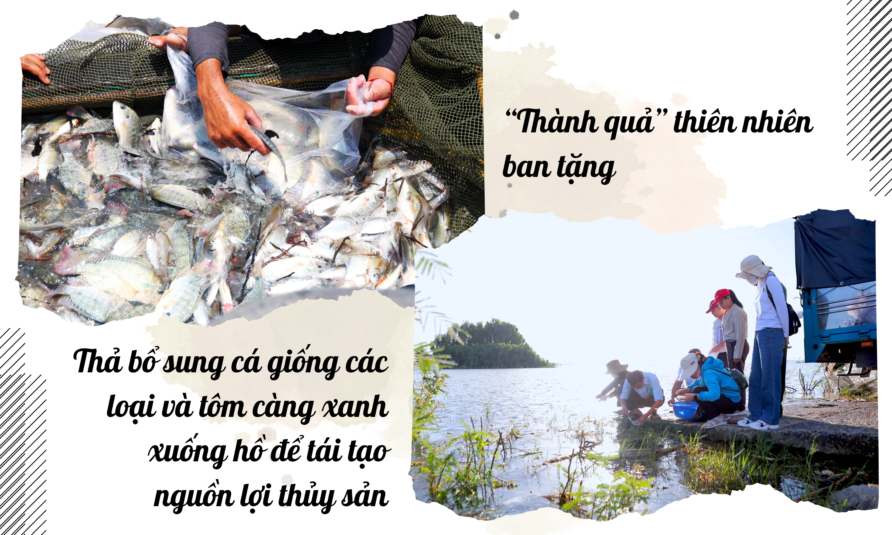 Ảnh với chú thích