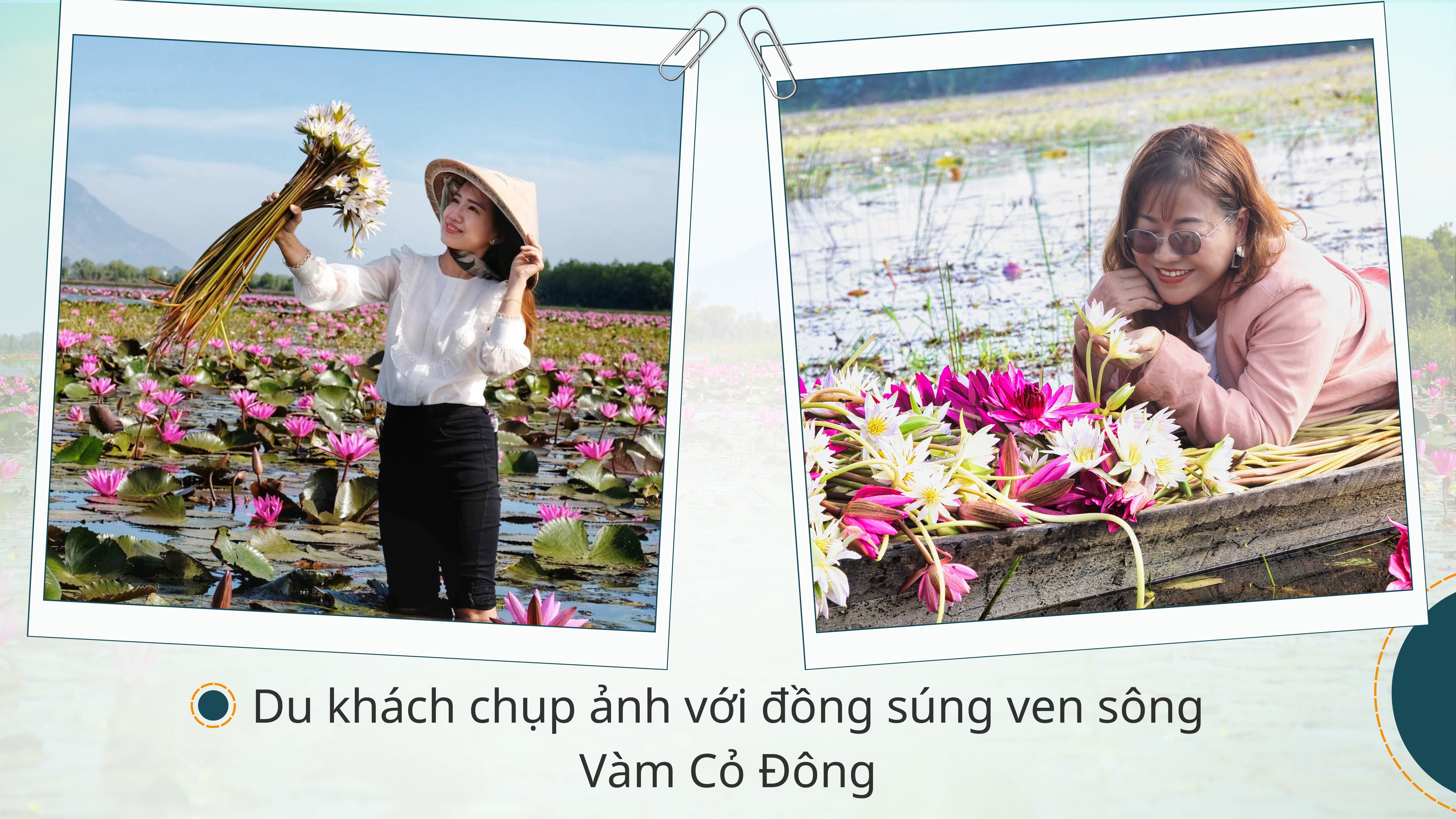 Ảnh với chú thích