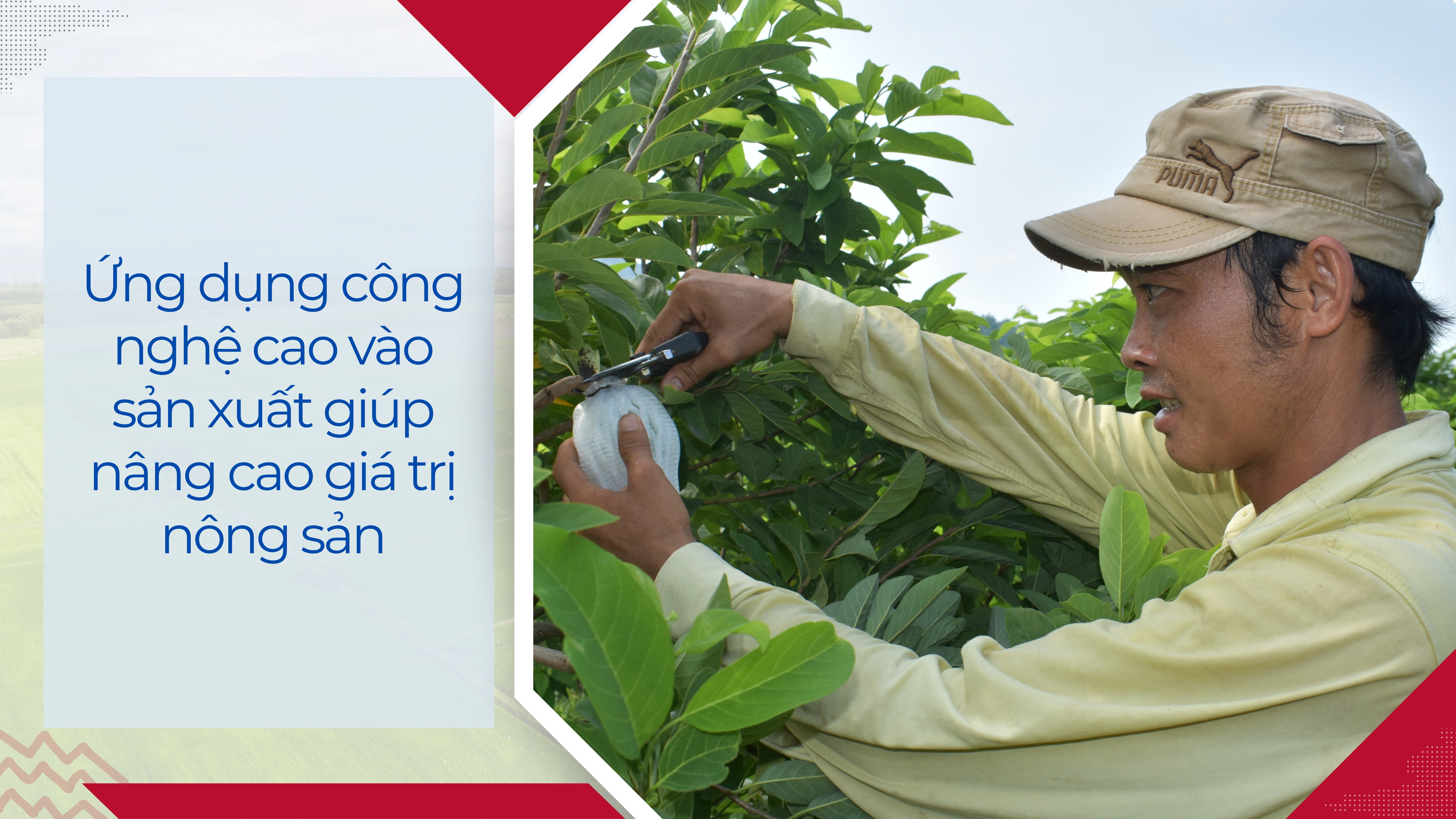 Ảnh với chú thích