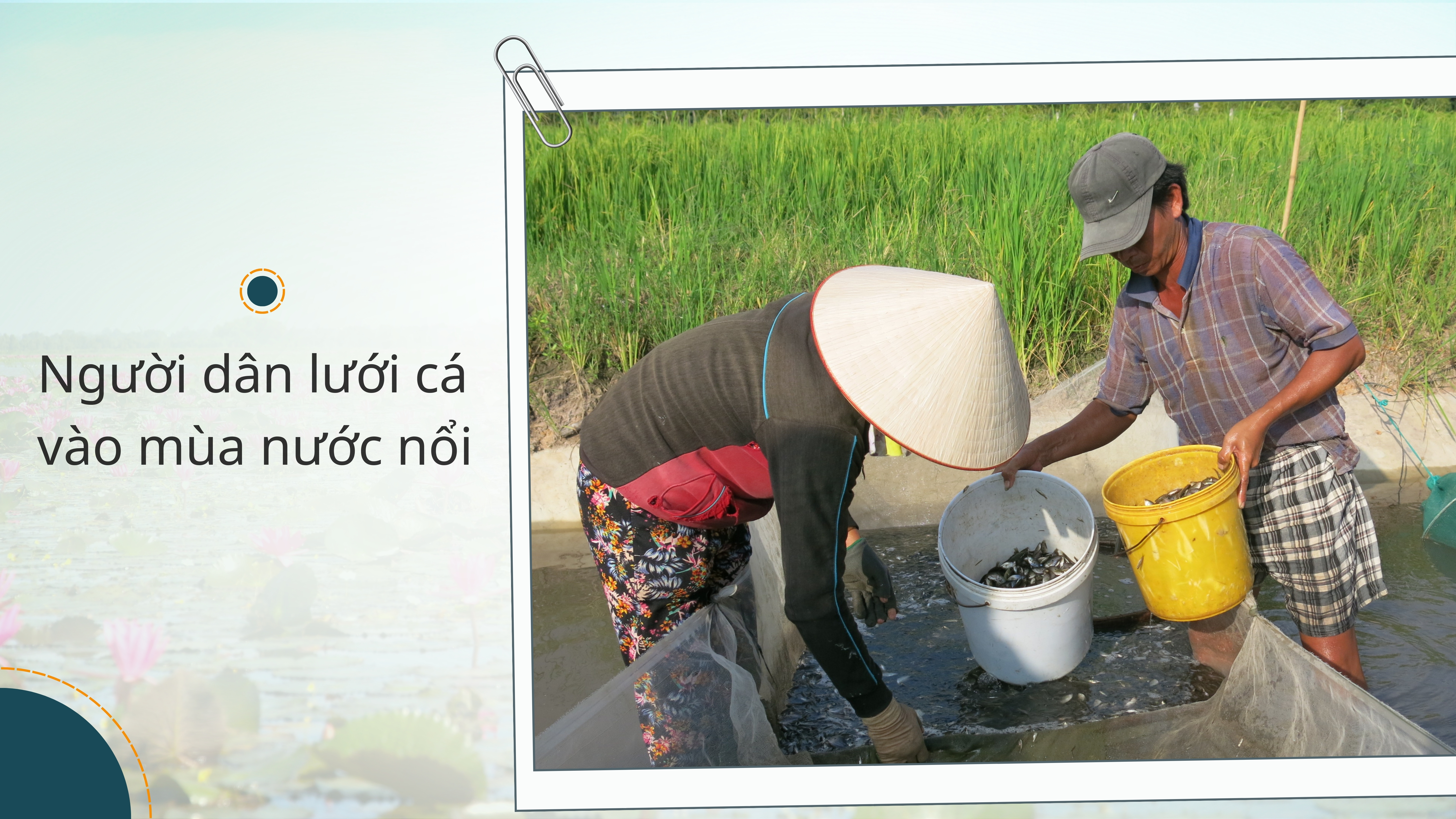 Ảnh với chú thích