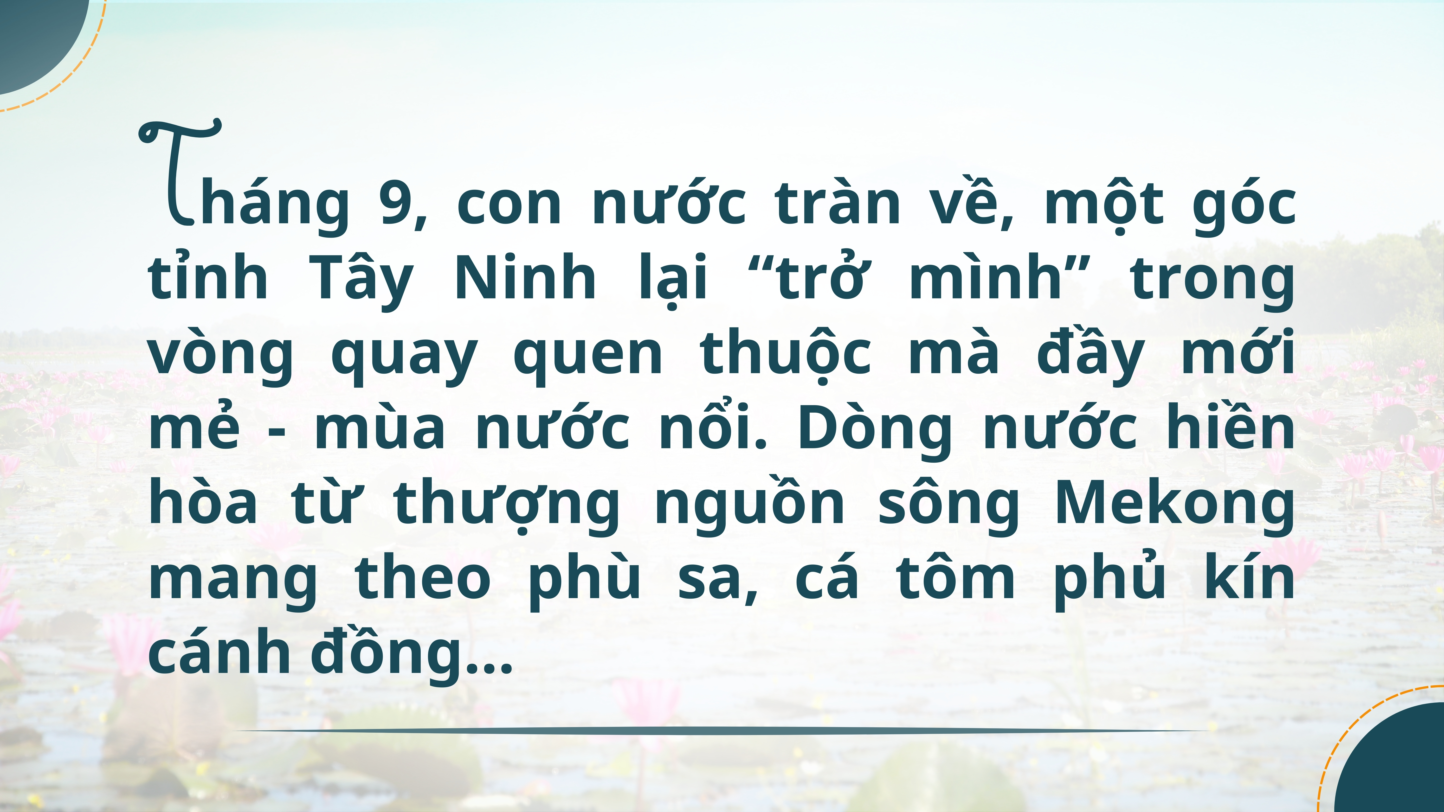 Ảnh với chú thích