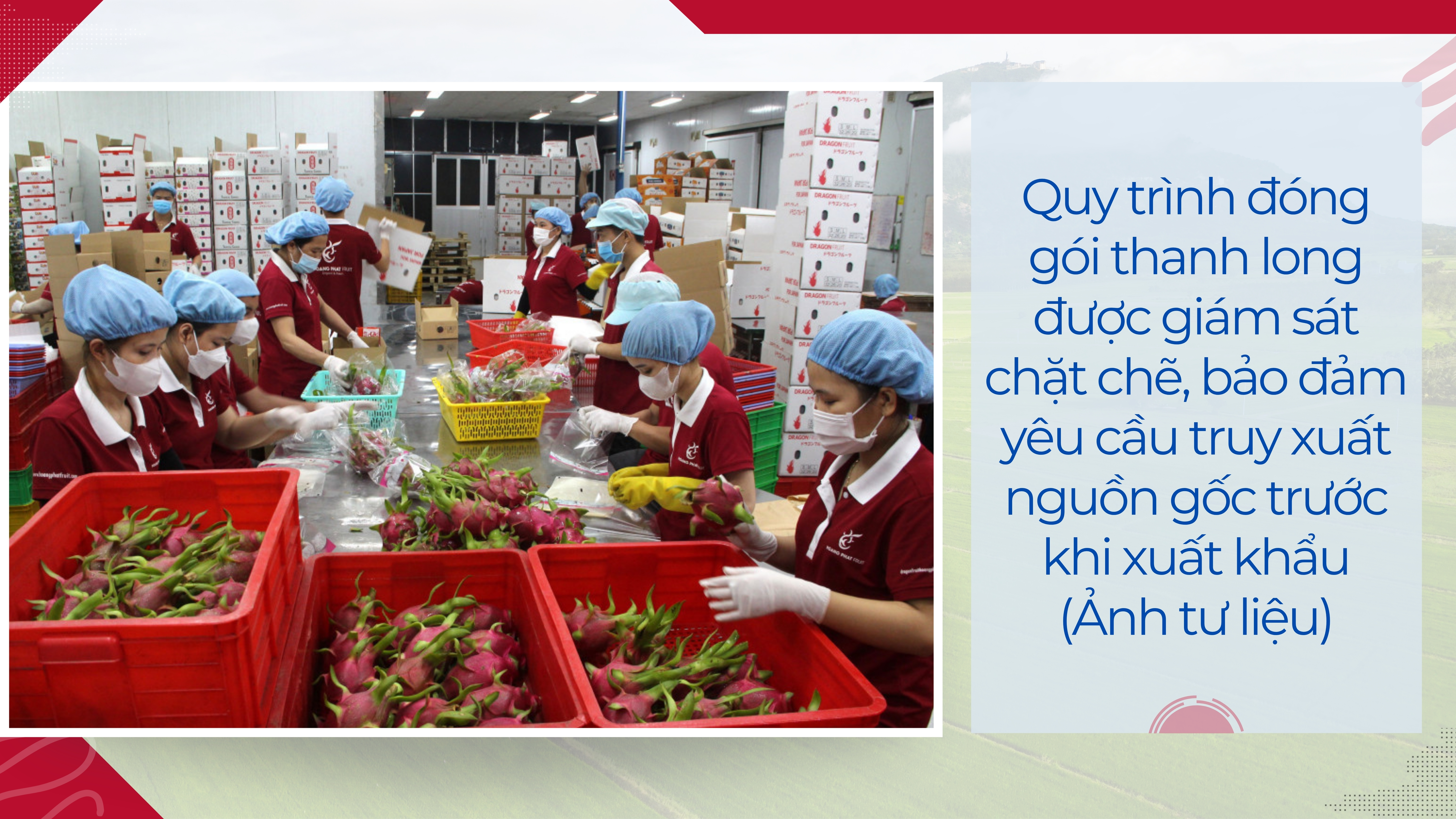 Ảnh với chú thích