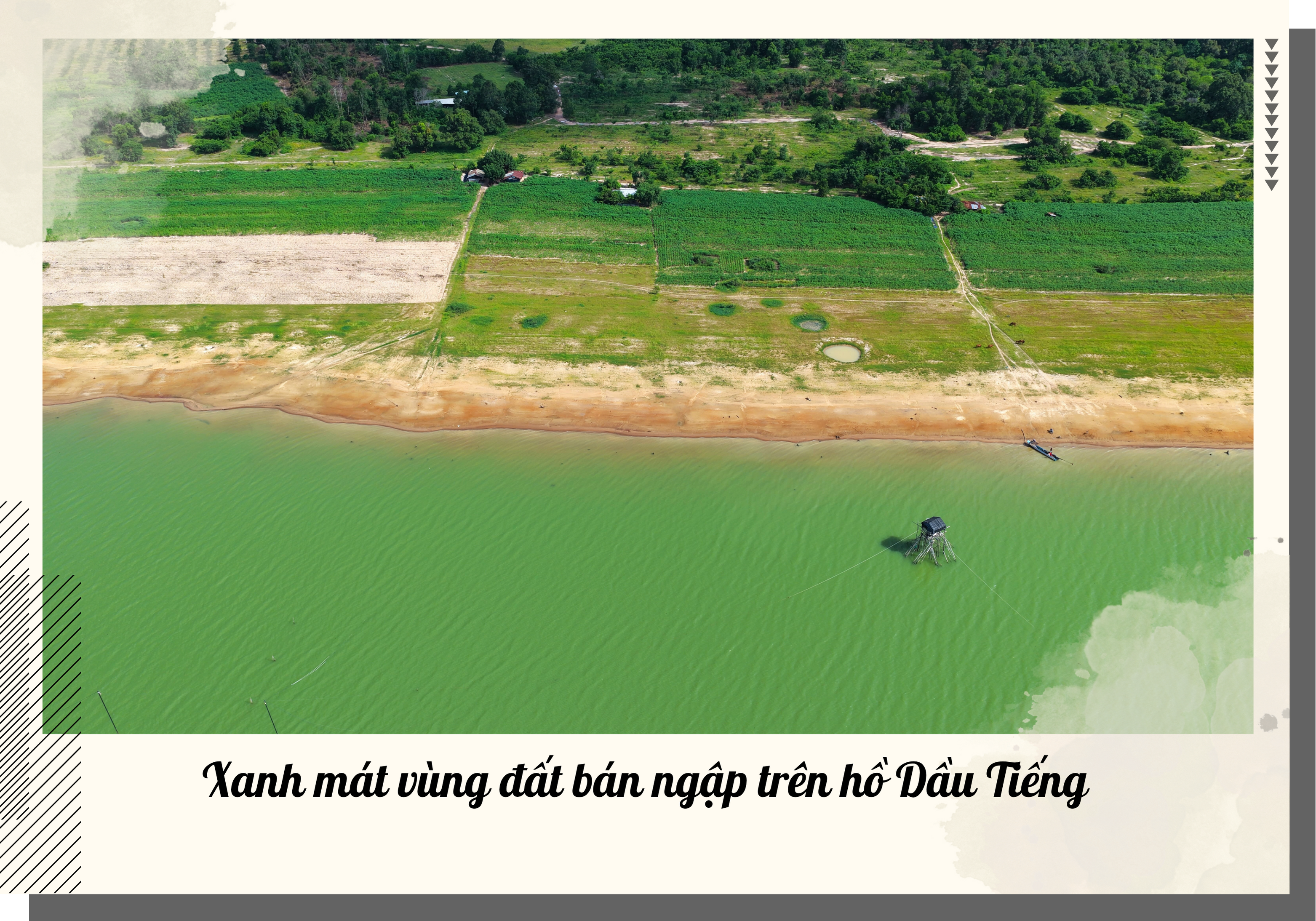 Ảnh với chú thích