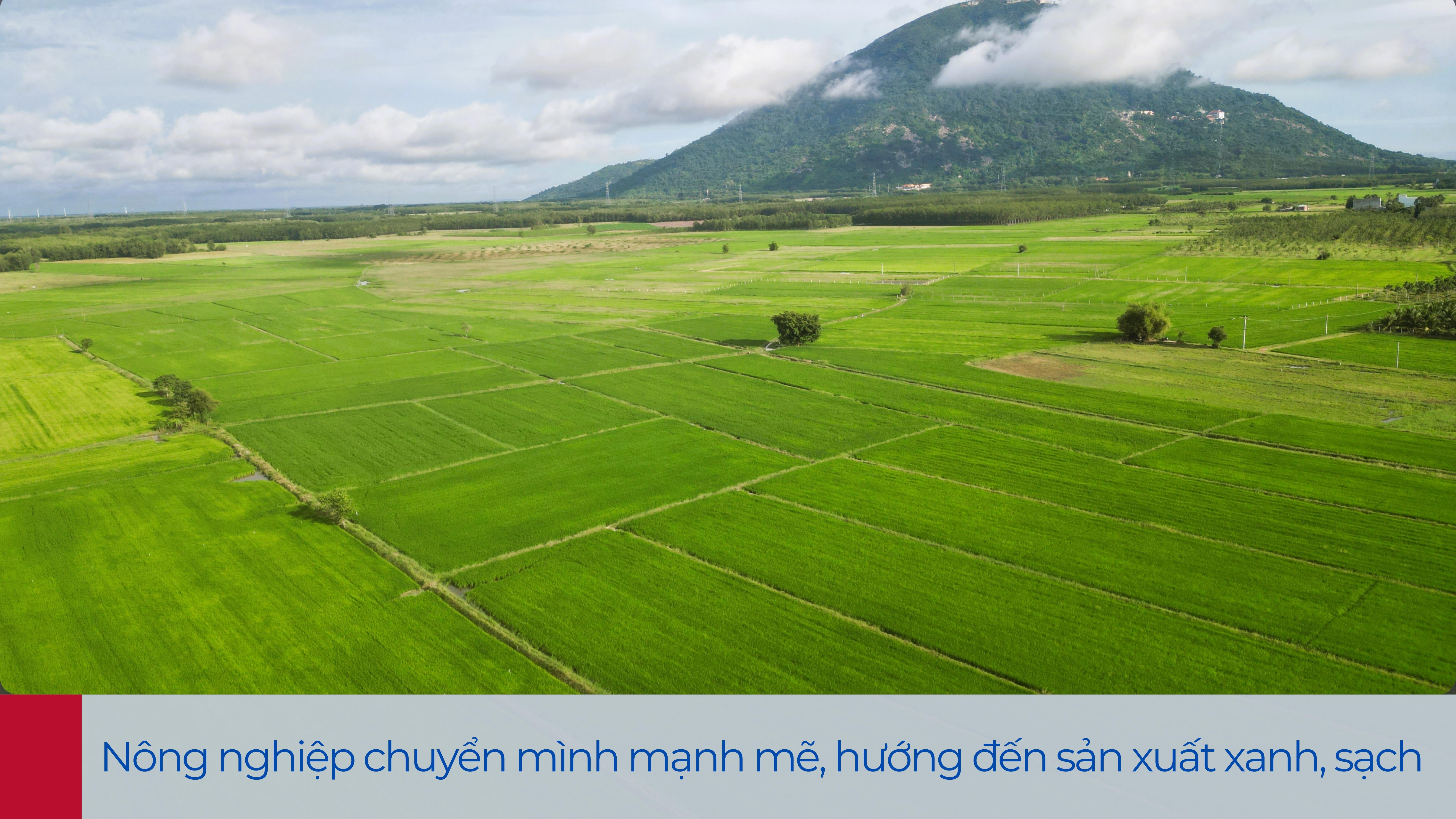 Ảnh với chú thích