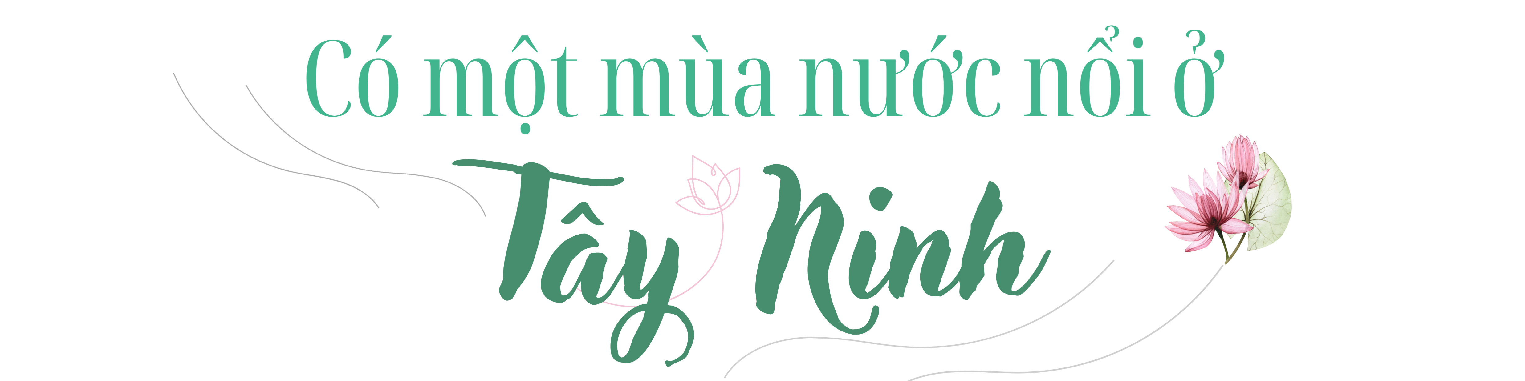 Ảnh với chú thích