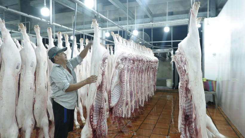 Kiểm so&aacute;t chặt chẽ hoạt động c&aacute;c cơ sở giết mổ