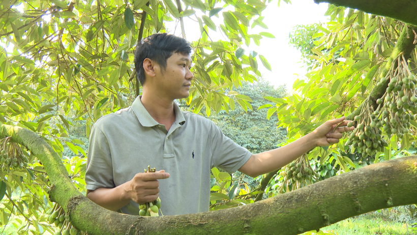 T&iacute;n hiệu vui từ ch&iacute;nh s&aacute;ch n&acirc;ng mức cho vay hỗ trợ tạo việc l&agrave;m 