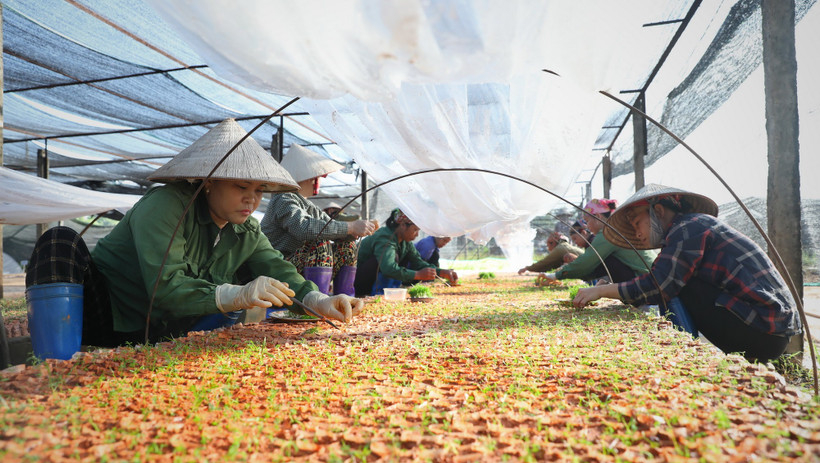 Nghị quyết 68-NQ/TW: Động lực để Việt Nam bứt ph&aacute; tới ngưỡng thu nhập cao