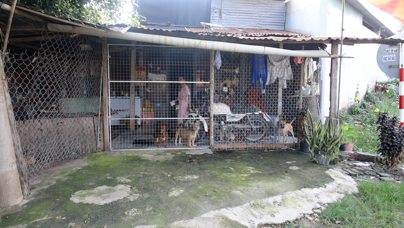 Người d&acirc;n mong chờ giải ph&aacute;p xử l&yacute; thỏa đ&aacute;ng