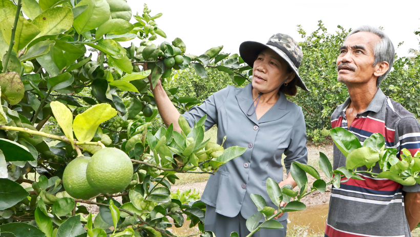 Nữ b&iacute; thư chi bộ ấp '2 giỏi'