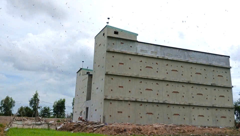 T&igrave;m hướng đi ph&aacute;t triển bền vững ng&agrave;nh yến