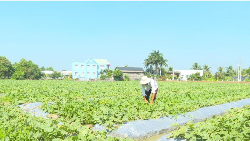 Từ nghị quyết đến những c&aacute;nh đồng ứng dụng c&ocirc;ng nghệ cao