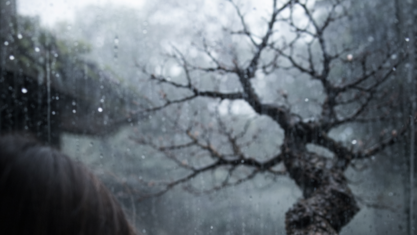 Nhất Chi Mai nở muộn