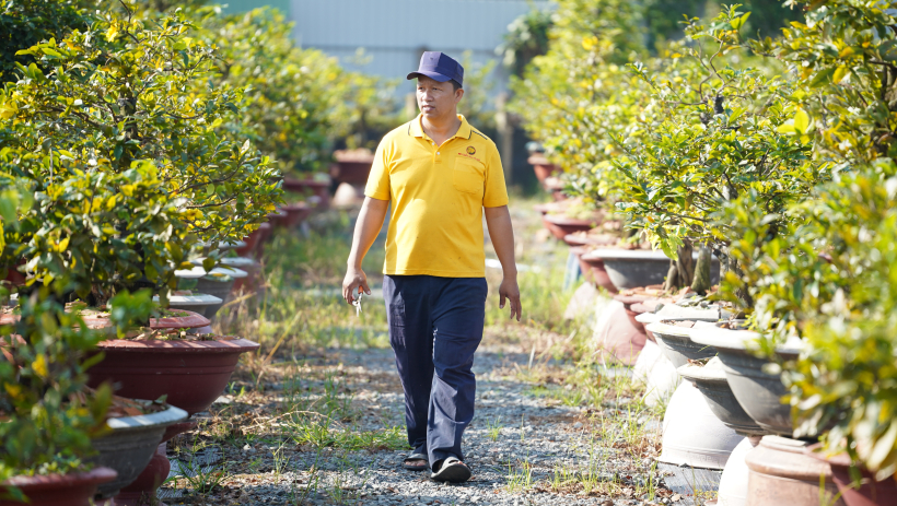 D&agrave;nh trọn t&igrave;nh y&ecirc;u cho mai tứ qu&yacute;
