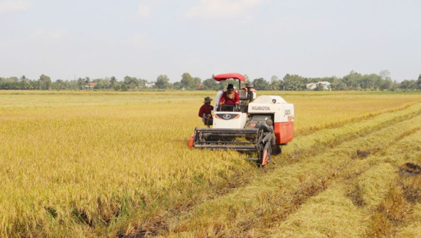 Động lực tăng trưởng mới cho khu vực n&ocirc;ng nghiệp