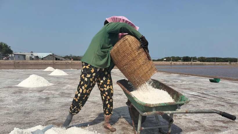 Vĩnh Long hơn 28.000 tấn muối bị thiệt hại do mưa tr&aacute;i m&ugrave;a