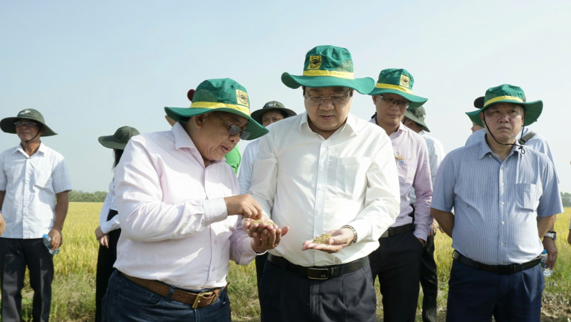 Trao đổi kinh nghiệm chuỗi gi&aacute; trị 1 triệu h&eacute;cta l&uacute;a gạo chất lượng cao, ph&aacute;t thải thấp