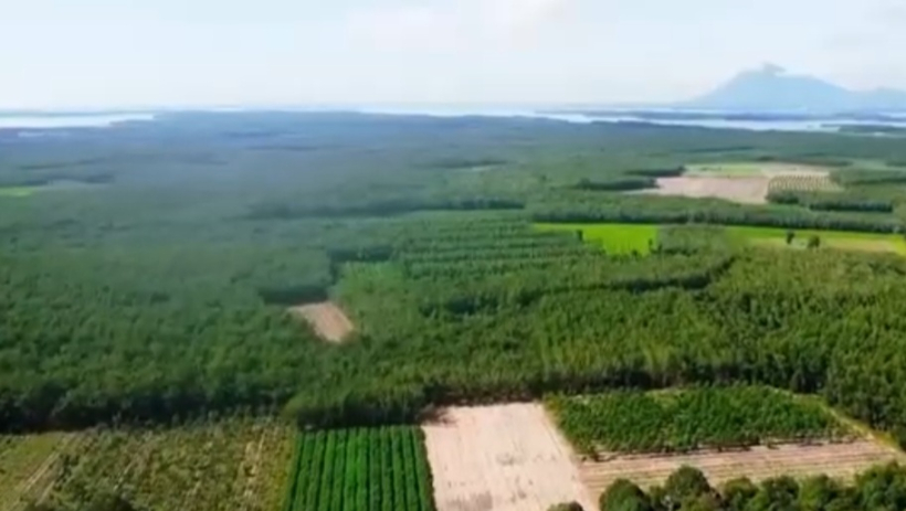 Tăng cường quản l&yacute;, bảo vệ rừng