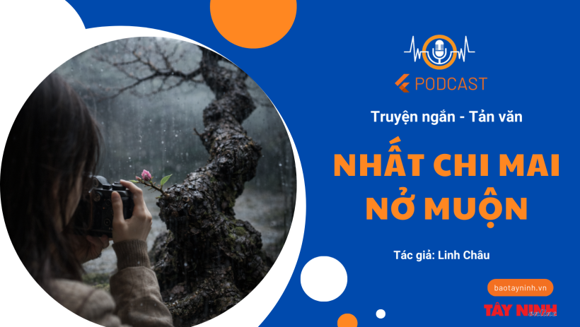 Nhất Chi Mai nở muộn