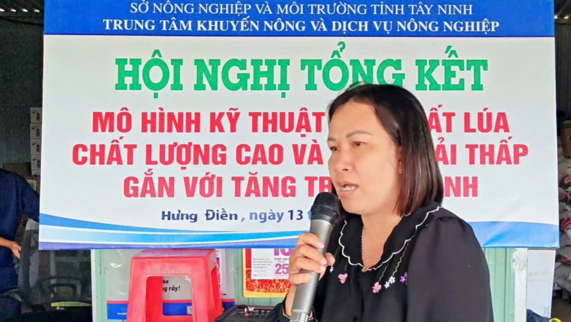 Canh t&aacute;c l&uacute;a theo m&ocirc; h&igrave;nh mới, n&ocirc;ng d&acirc;n tăng lợi nhuận