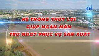 Hệ thống thủy lợi gi&uacute;p ngăn mặn, trữ ngọt phục vụ sản xuất