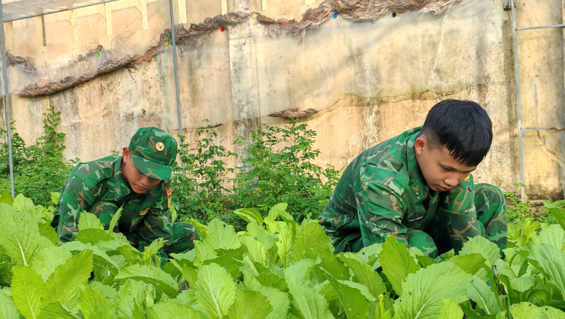 Đồn Bi&ecirc;n ph&ograve;ng B&igrave;nh Thạnh: Đẩy mạnh tăng gia sản xuất, n&acirc;ng cao đời sống bộ đội