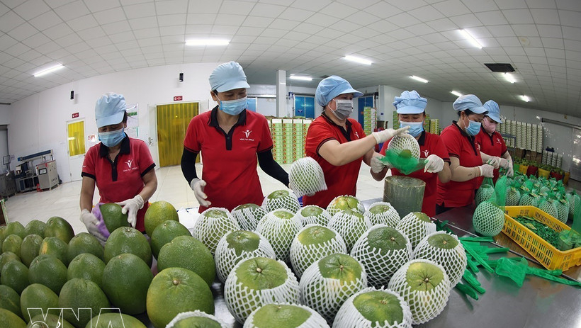 Efforts made to reinforce foundations of Vietnam&rsquo;s fruit, vegetable value chains
