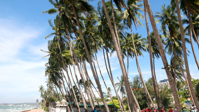 Vietnamese travellers increasingly favour sustainable stays, community-based tourism