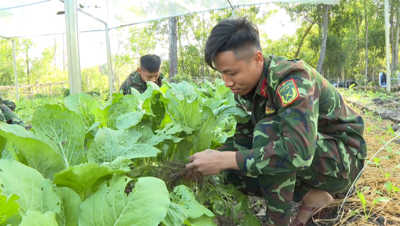 Tăng gia sản xuất &ndash; điểm tựa hậu cần vững chắc ở Đại đội Bộ binh 1
