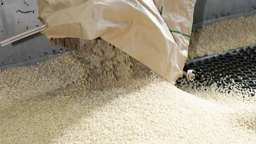 Thị trường gạo v&agrave; ngũ cốc chịu &aacute;p lực từ chi ph&iacute; vận tải tăng cao