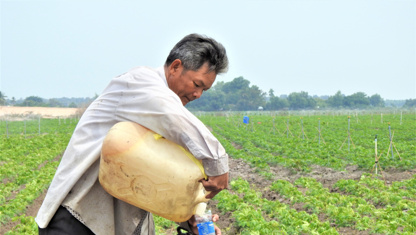 Nắng n&oacute;ng, n&ocirc;ng d&acirc;n chật vật tưới m&igrave; trong 'b&atilde;o gi&aacute;' xăng dầu