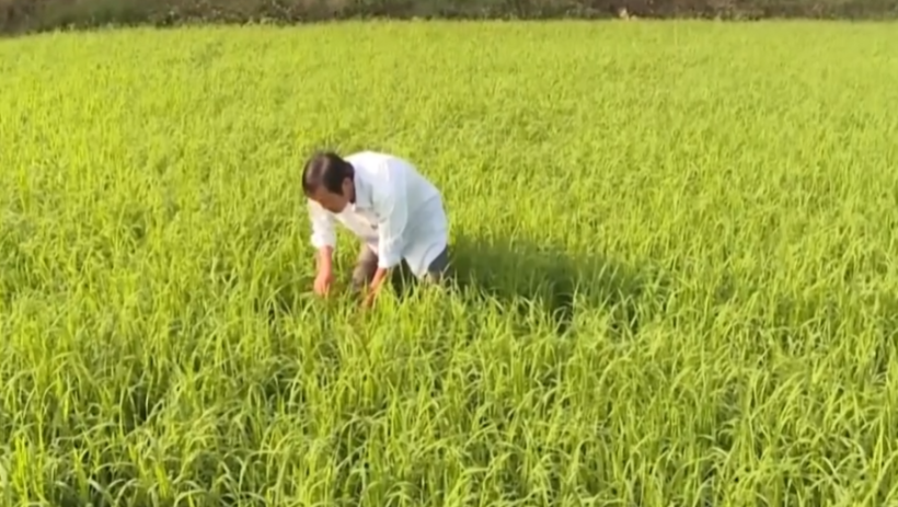 N&acirc;ng cao gi&aacute; trị ng&agrave;nh N&ocirc;ng nghiệp giai đoạn 2026-2030